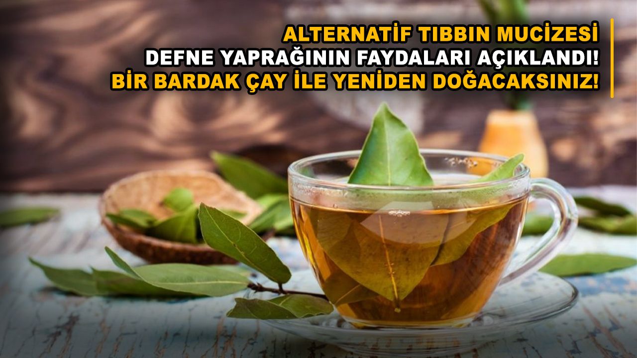 Alternatif tıbbın mucizesi defne yaprağının faydaları açıklandı! Bir bardak çay ile yeniden doğacaksınız!