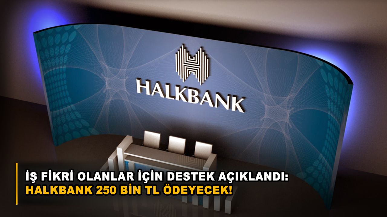 İş Fikri Olanlar İçin Destek Açıklandı: Halkbank 250 Bin TL Ödeyecek!