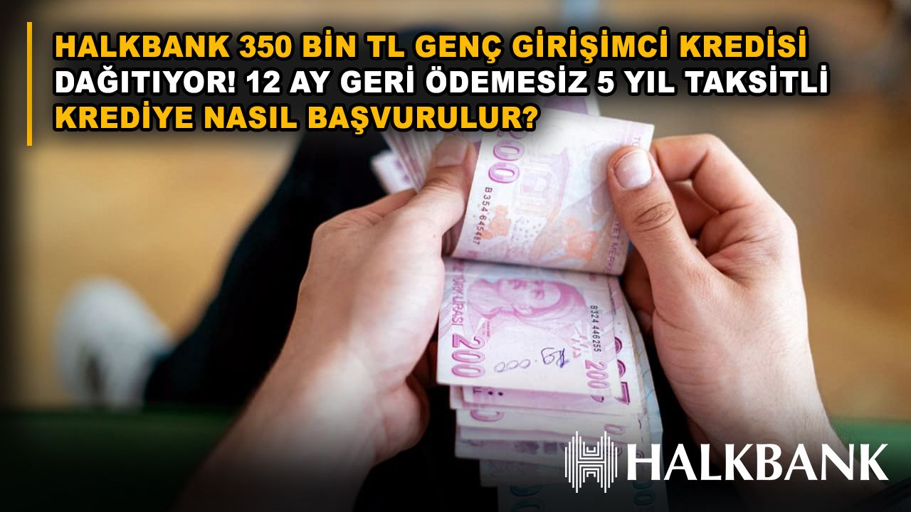 Halkbank 350 bin TL genç girişimci kredisi dağıtıyor! 12 ay geri ödemesiz 5 yıl taksitli krediye nasıl başvurulur?
